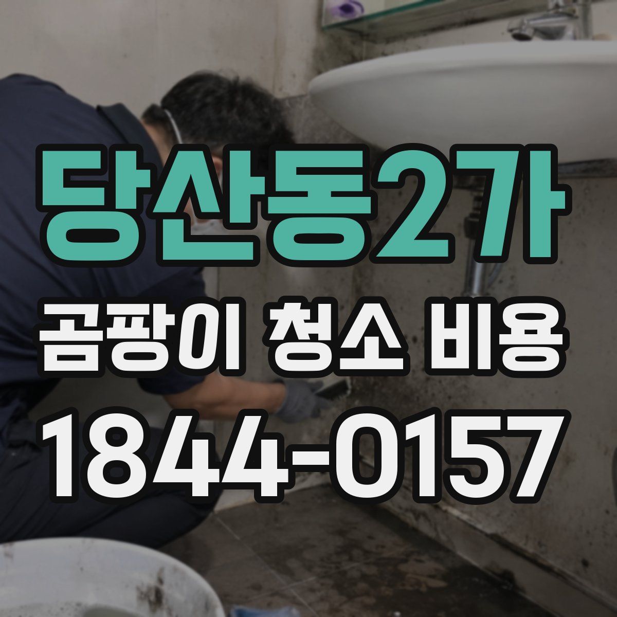 당산동2가 곰팡이 청소 비용