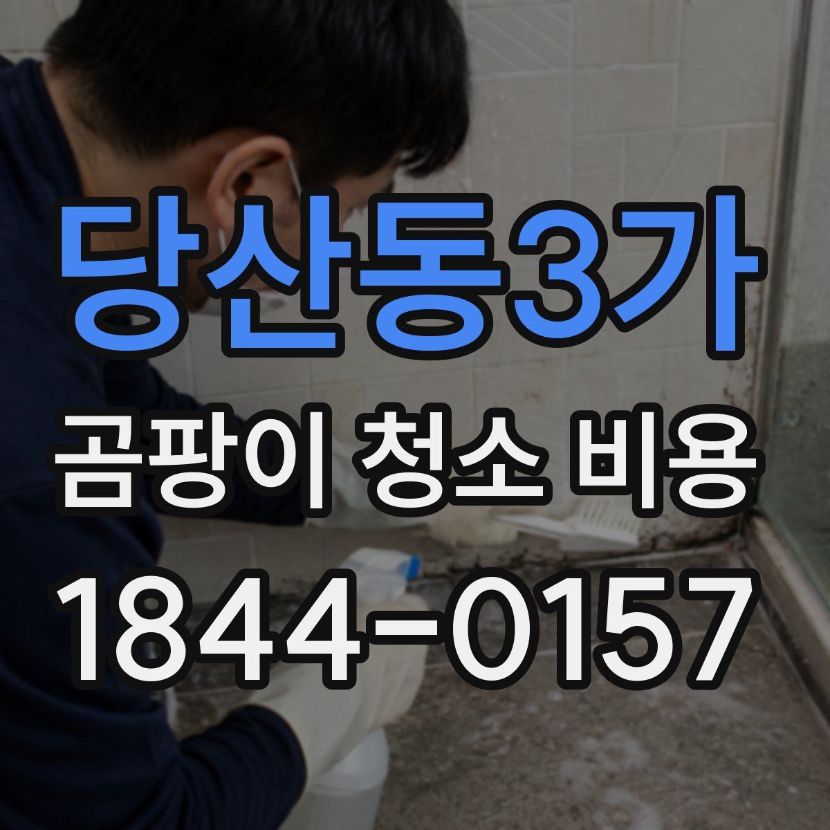 당산동3가 곰팡이 청소 비용
