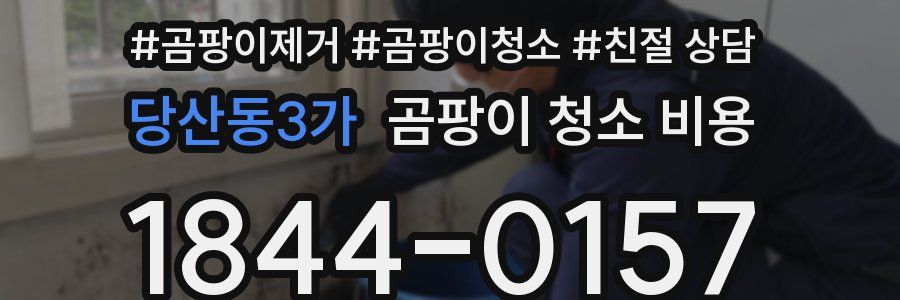 당산동3가 곰팡이 청소 비용