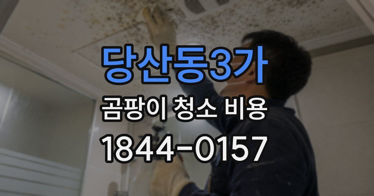 당산동3가 곰팡이 청소 비용