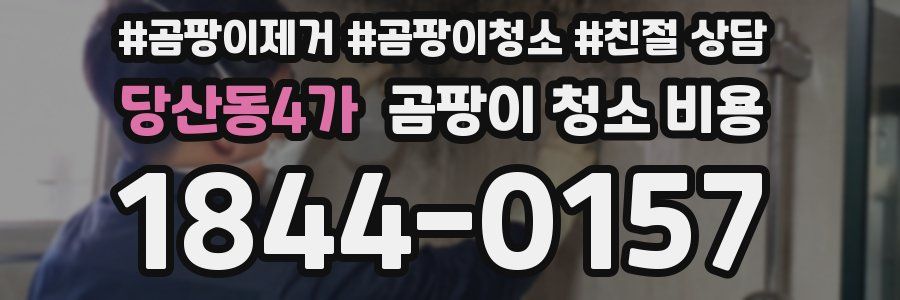 당산동4가 곰팡이 청소 비용
