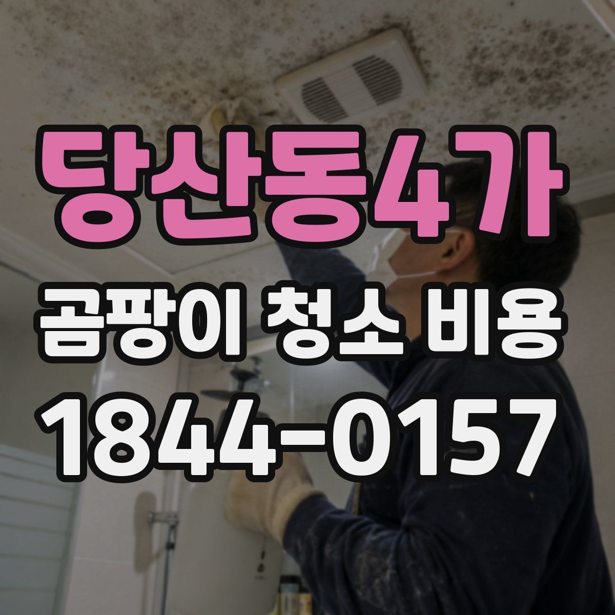 당산동4가 곰팡이 청소 비용