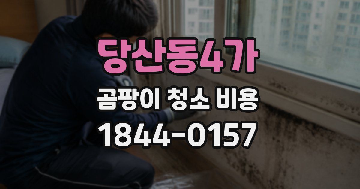 당산동4가 곰팡이 청소 비용