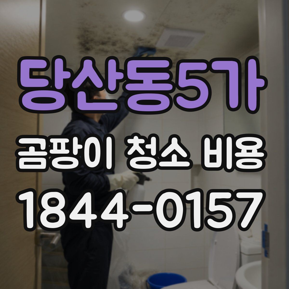 당산동5가 곰팡이 청소 비용 비교 시 실제로 봐야 할 기준
