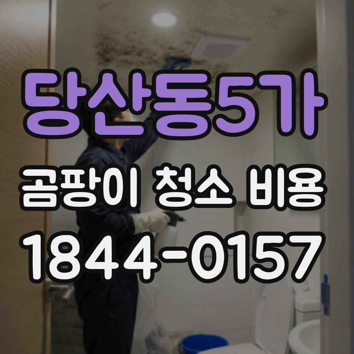 당산동5가 곰팡이 청소 비용
