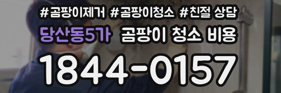 당산동5가 곰팡이 청소 비용
