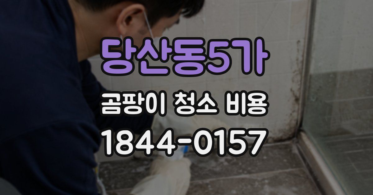 당산동5가 곰팡이 청소 비용