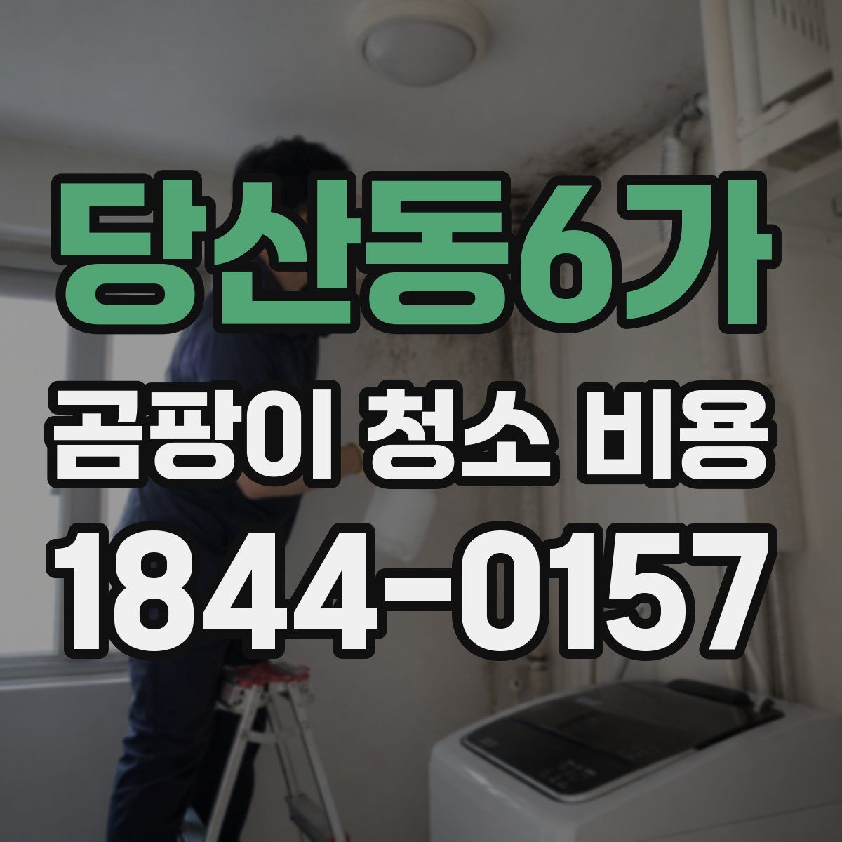 당산동6가 곰팡이 청소 비용