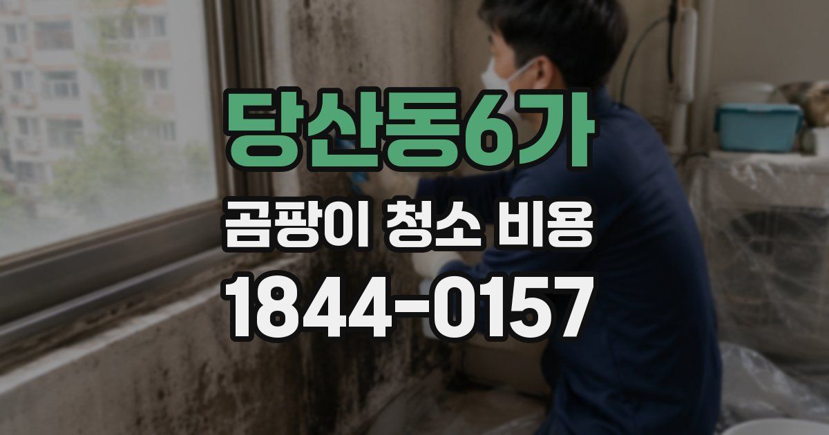 당산동6가 곰팡이 청소 비용