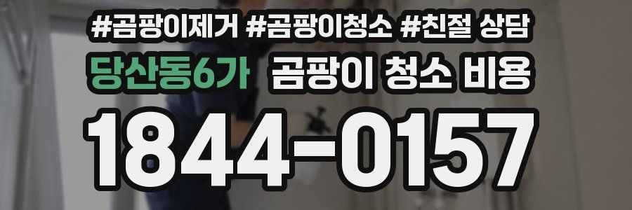 당산동6가 곰팡이 청소 비용