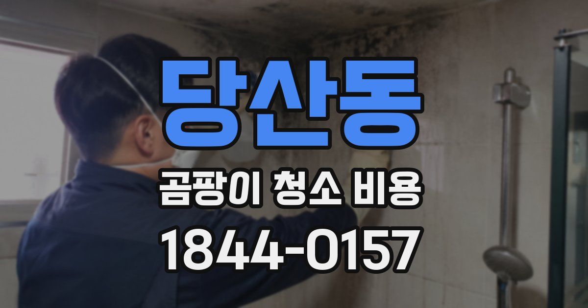 당산동 곰팡이 청소 비용