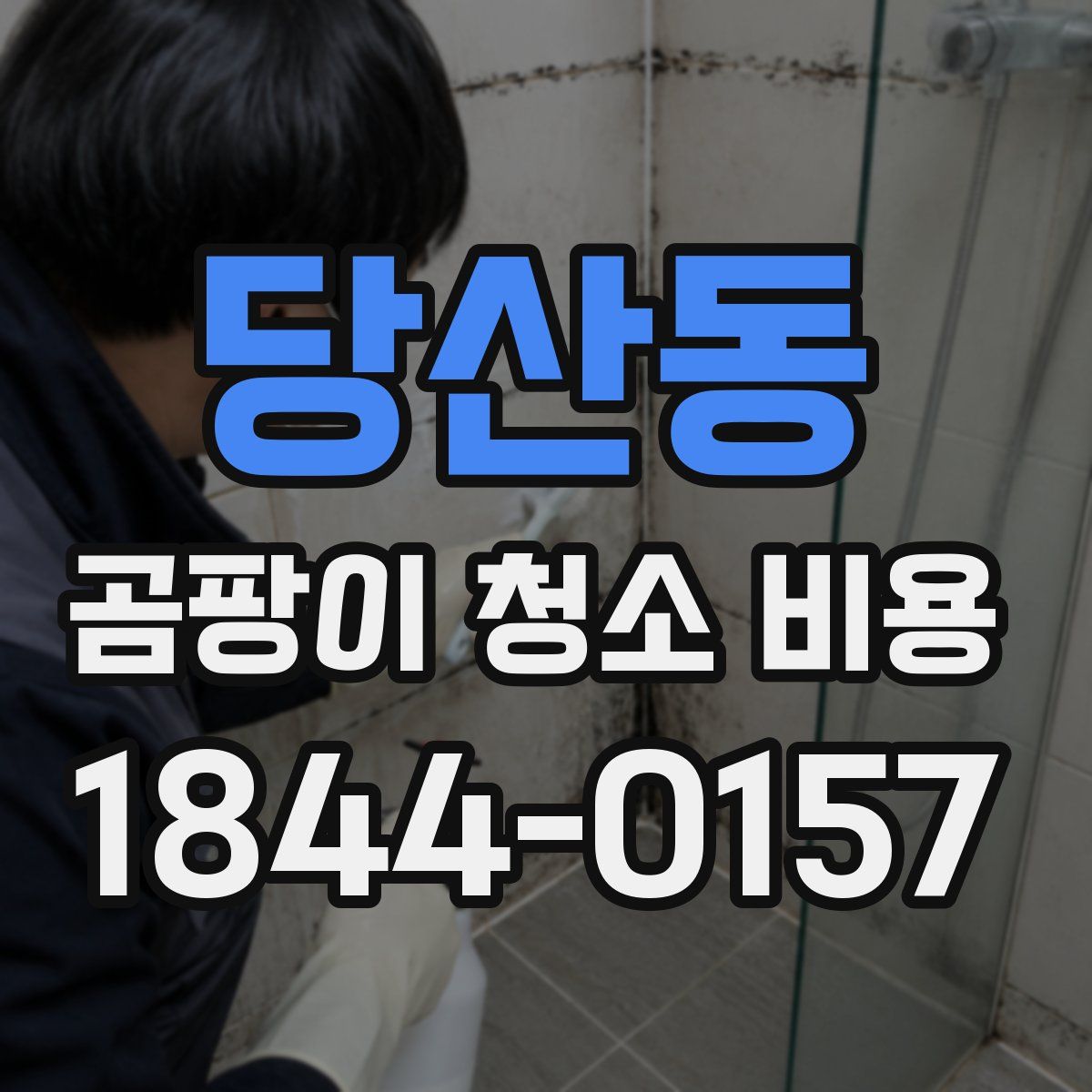 당산동 곰팡이 청소 비용
