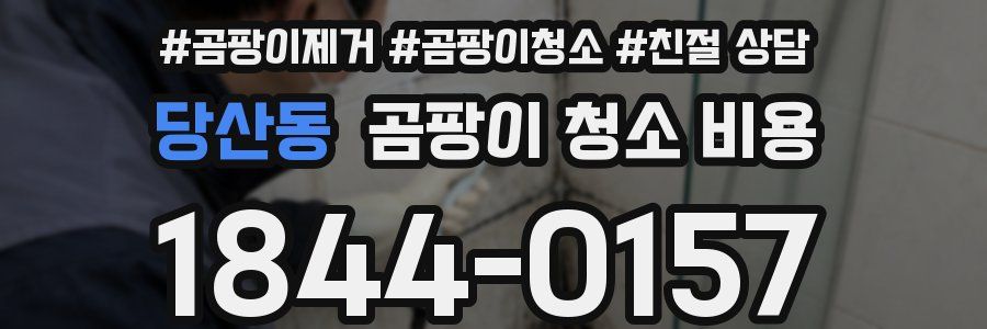 당산동 곰팡이 청소 비용