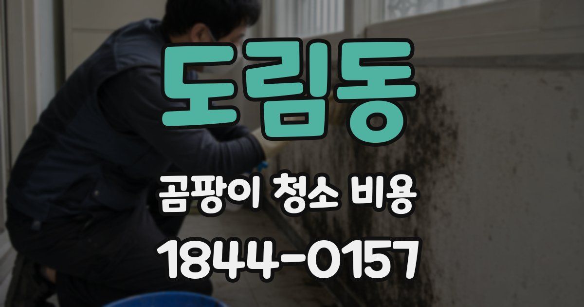 도림동 곰팡이 청소 비용
