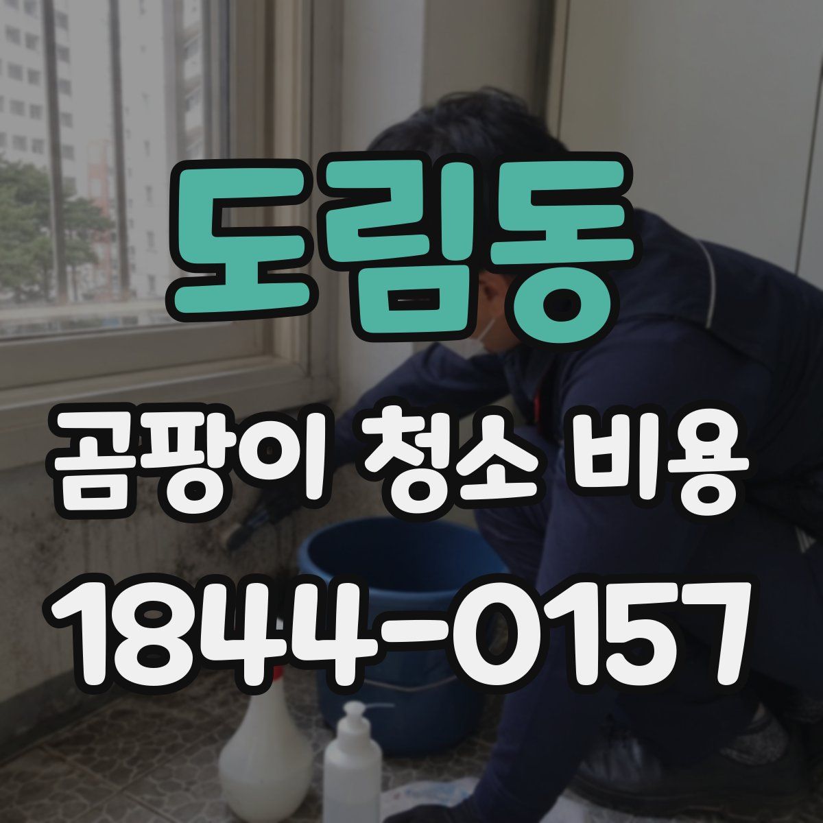 도림동 곰팡이 청소 비용
