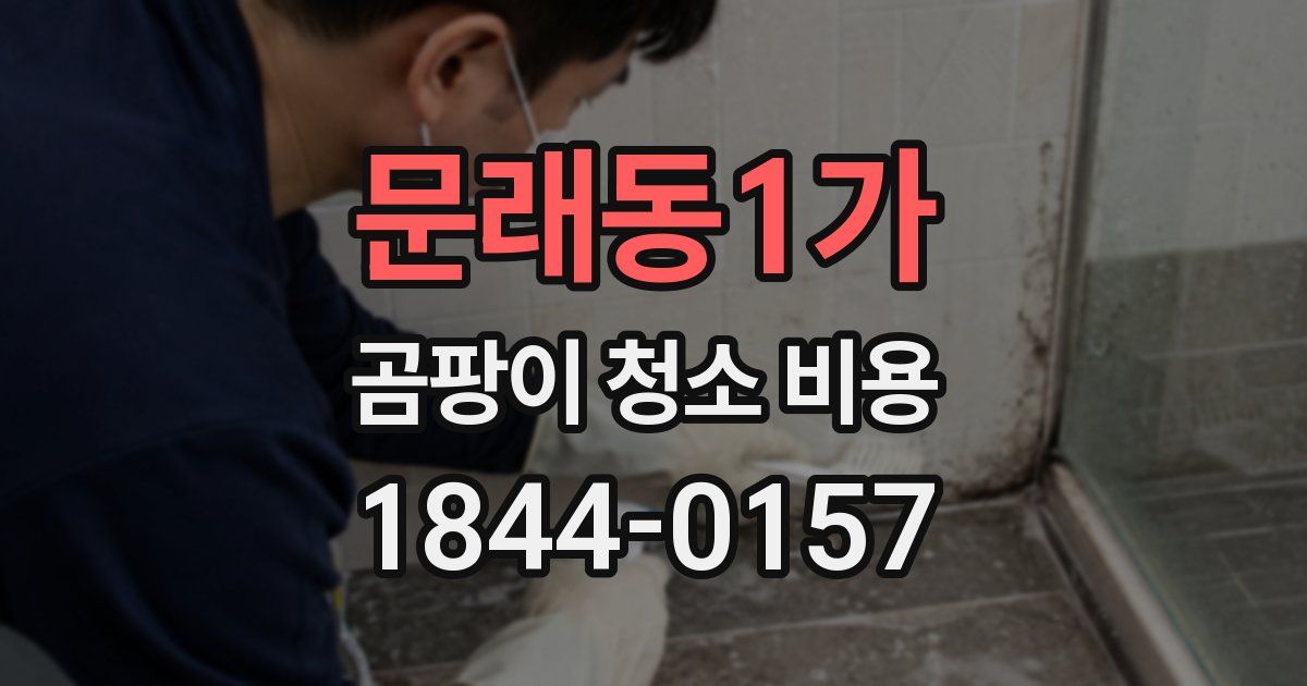 문래동1가 곰팡이 청소 비용
