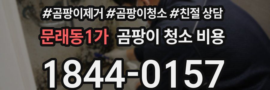 문래동1가 곰팡이 청소 비용
