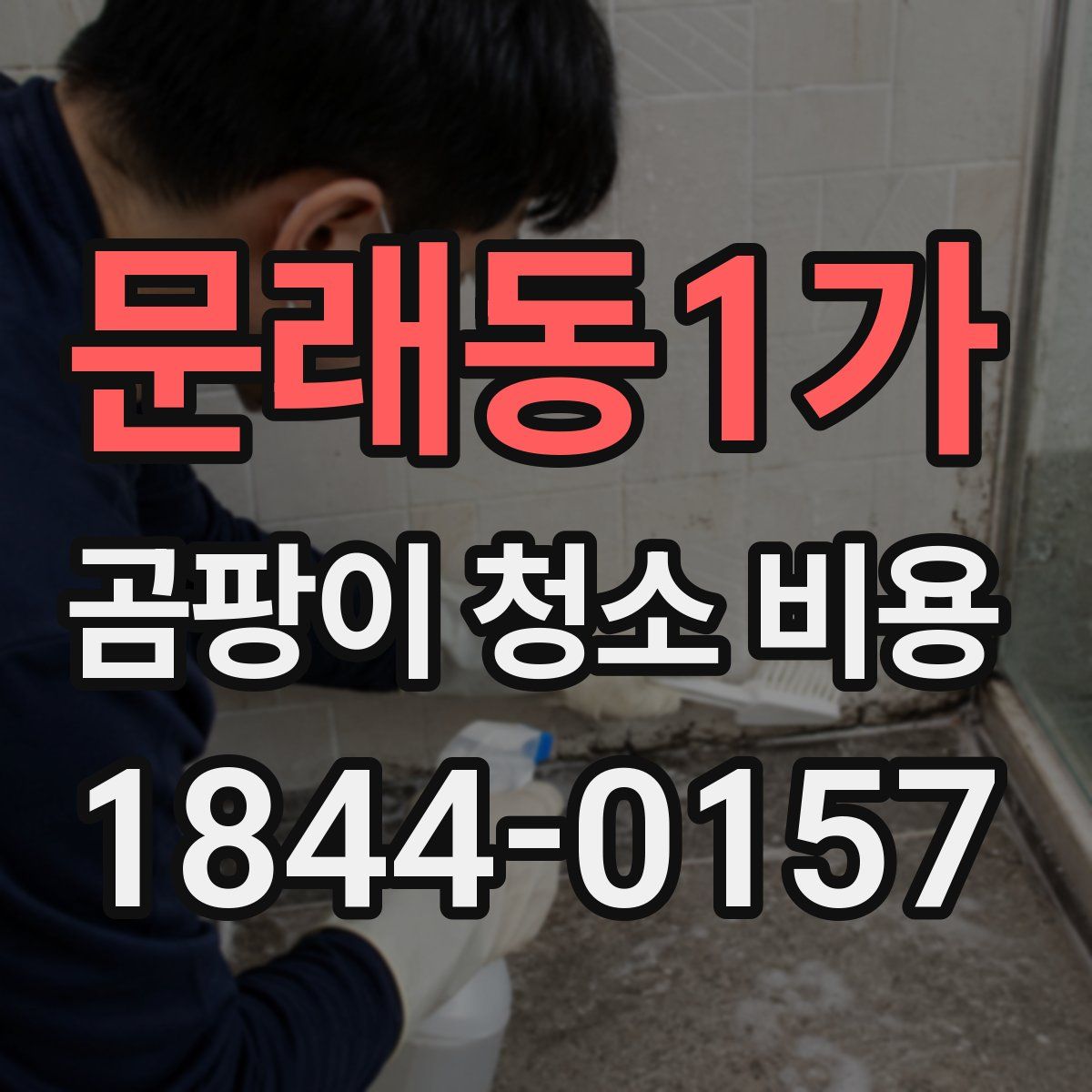문래동1가 곰팡이 청소 비용