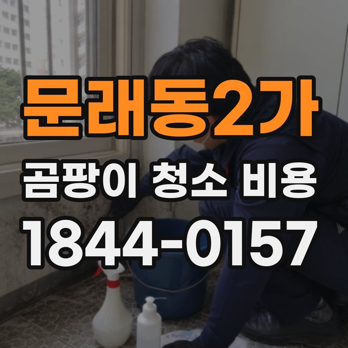 문래동2가 곰팡이 청소 비용 비교 시 서비스 내용 구분하기