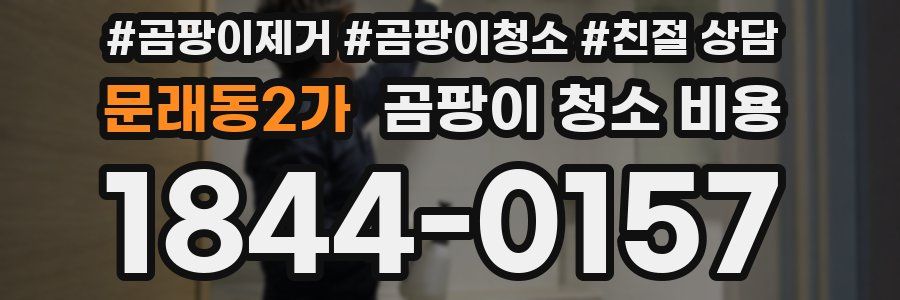 문래동2가 곰팡이 청소 비용
