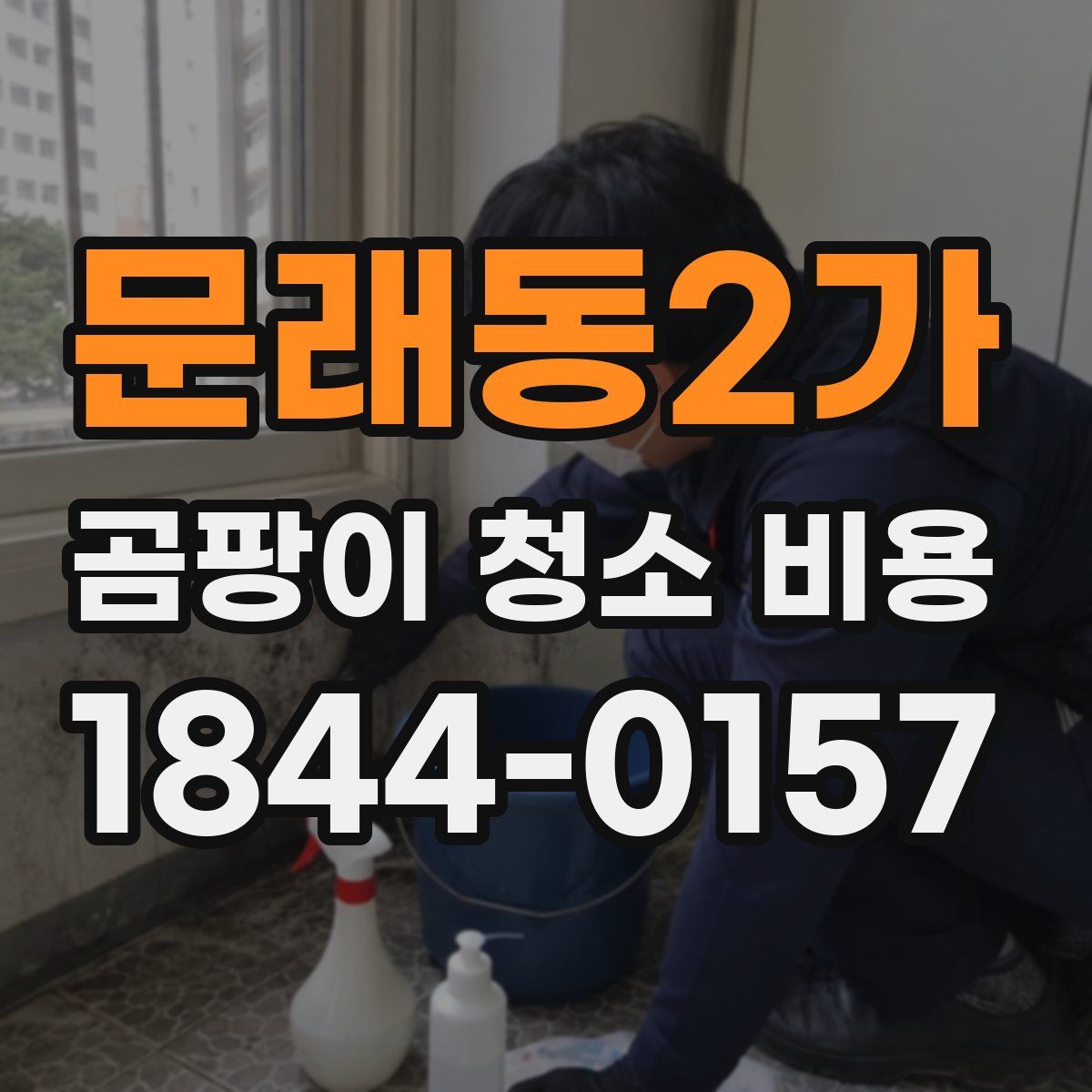문래동2가 곰팡이 청소 비용