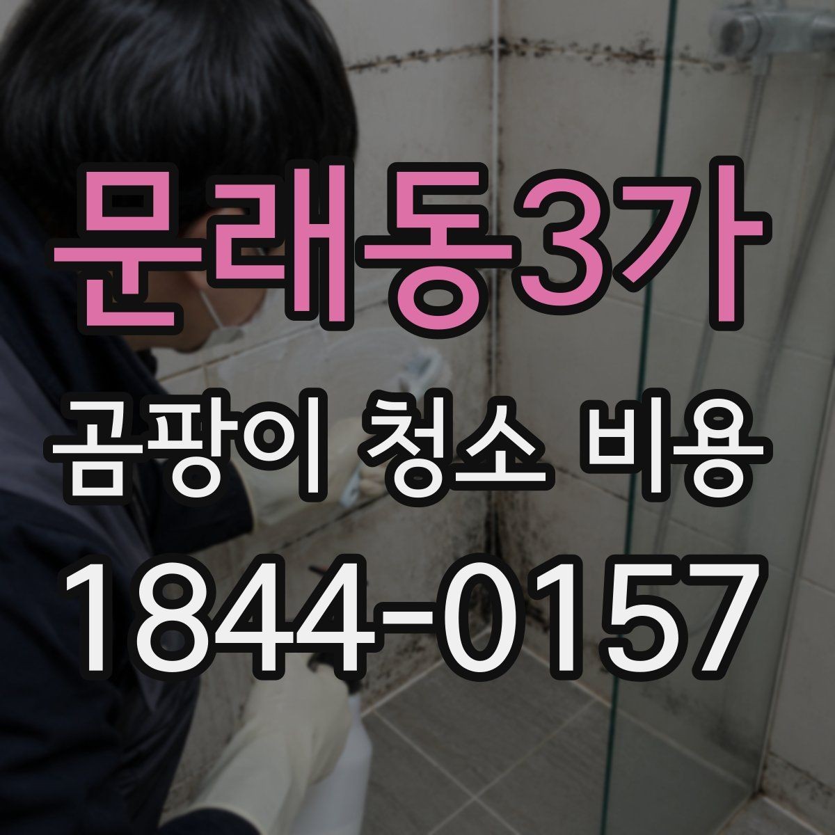문래동3가 곰팡이 청소 비용 산정 시 포함 항목 점검