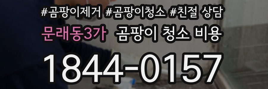 문래동3가 곰팡이 청소 비용