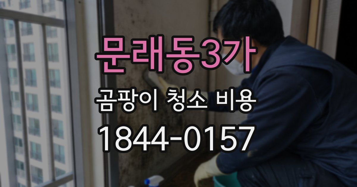 문래동3가 곰팡이 청소 비용