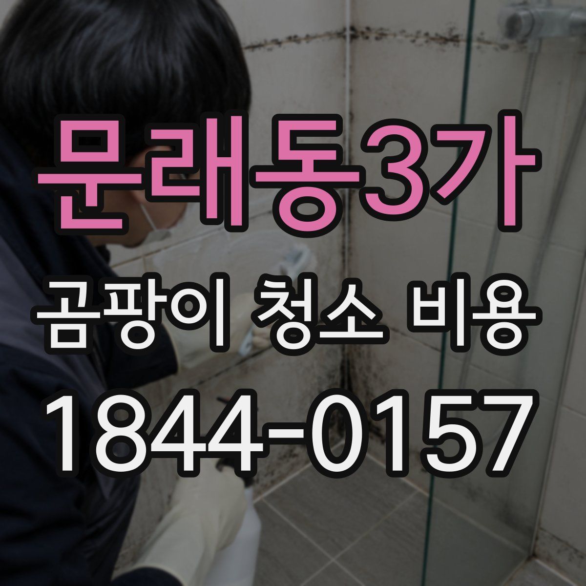 문래동3가 곰팡이 청소 비용