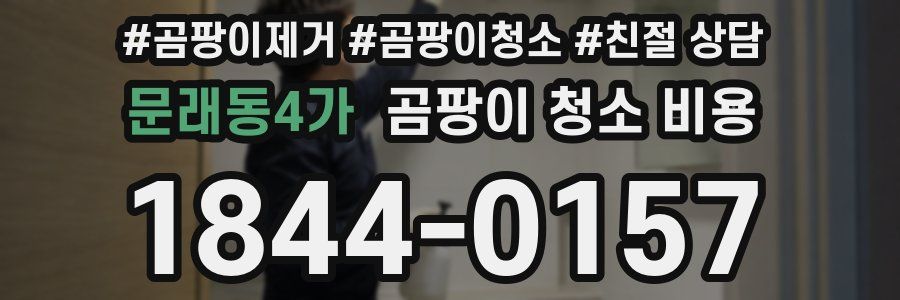 문래동4가 곰팡이 청소 비용
