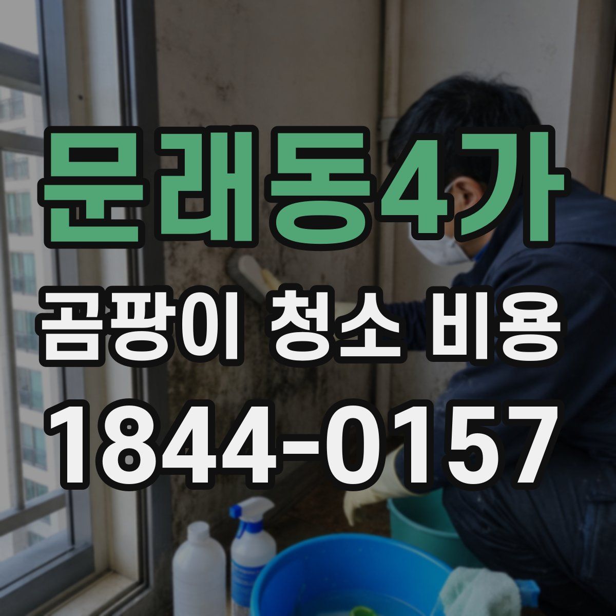 문래동4가 곰팡이 청소 비용