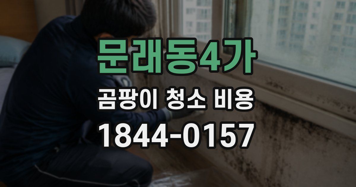 문래동4가 곰팡이 청소 비용