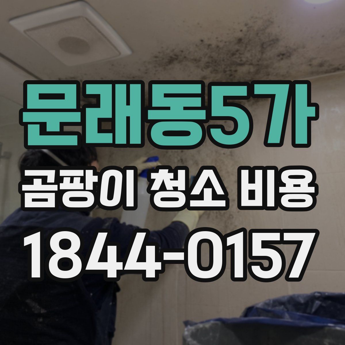 문래동5가 곰팡이 청소 비용