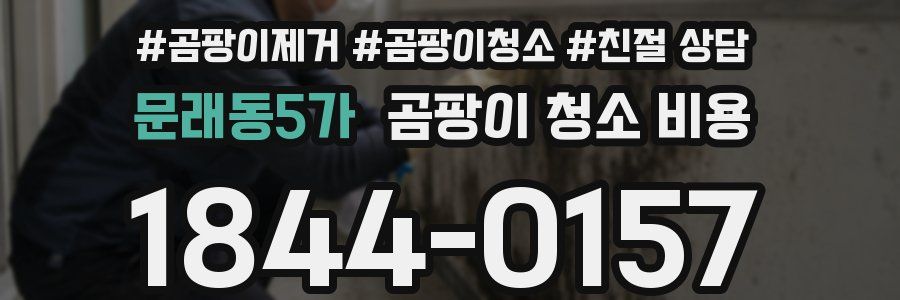 문래동5가 곰팡이 청소 비용