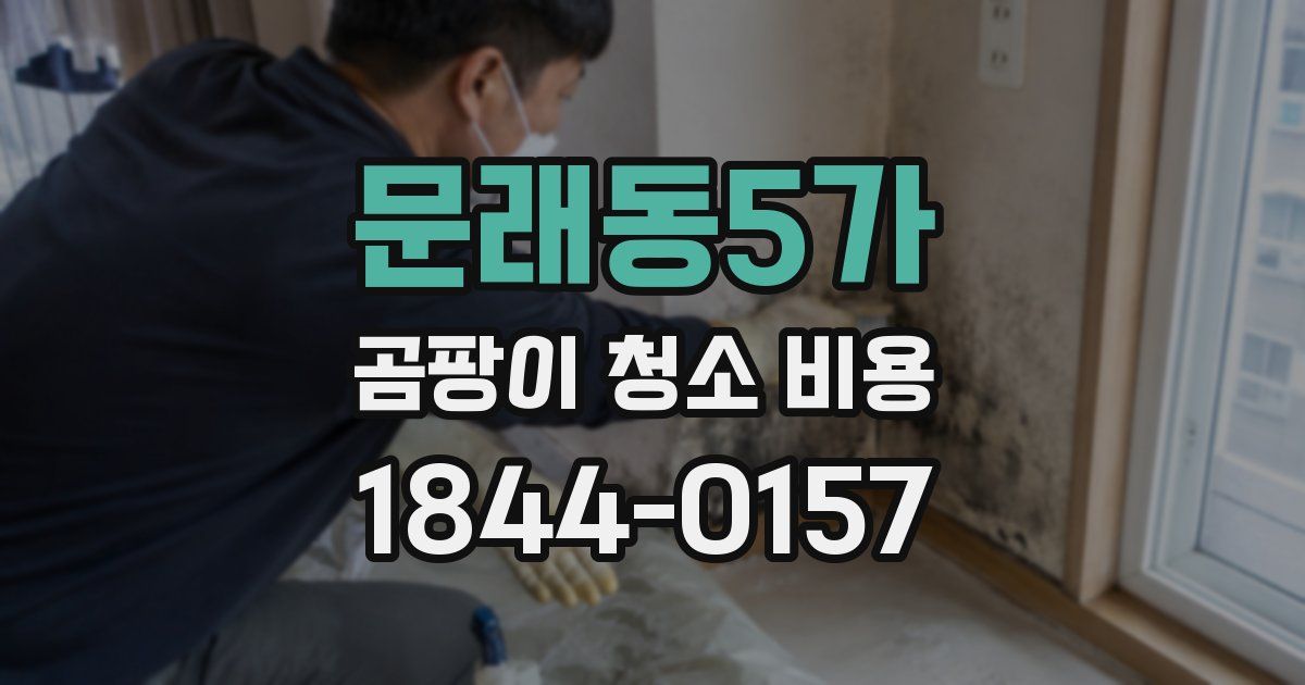 문래동5가 곰팡이 청소 비용