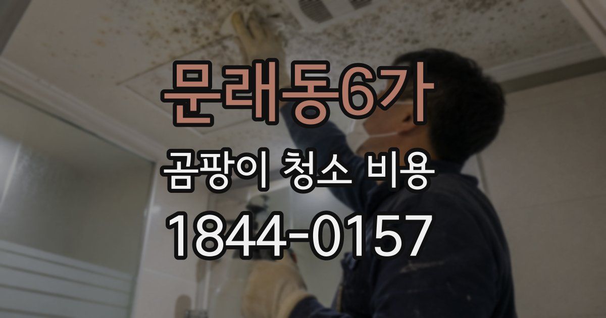 문래동6가 곰팡이 청소 비용