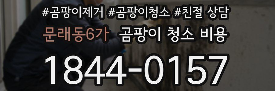 문래동6가 곰팡이 청소 비용