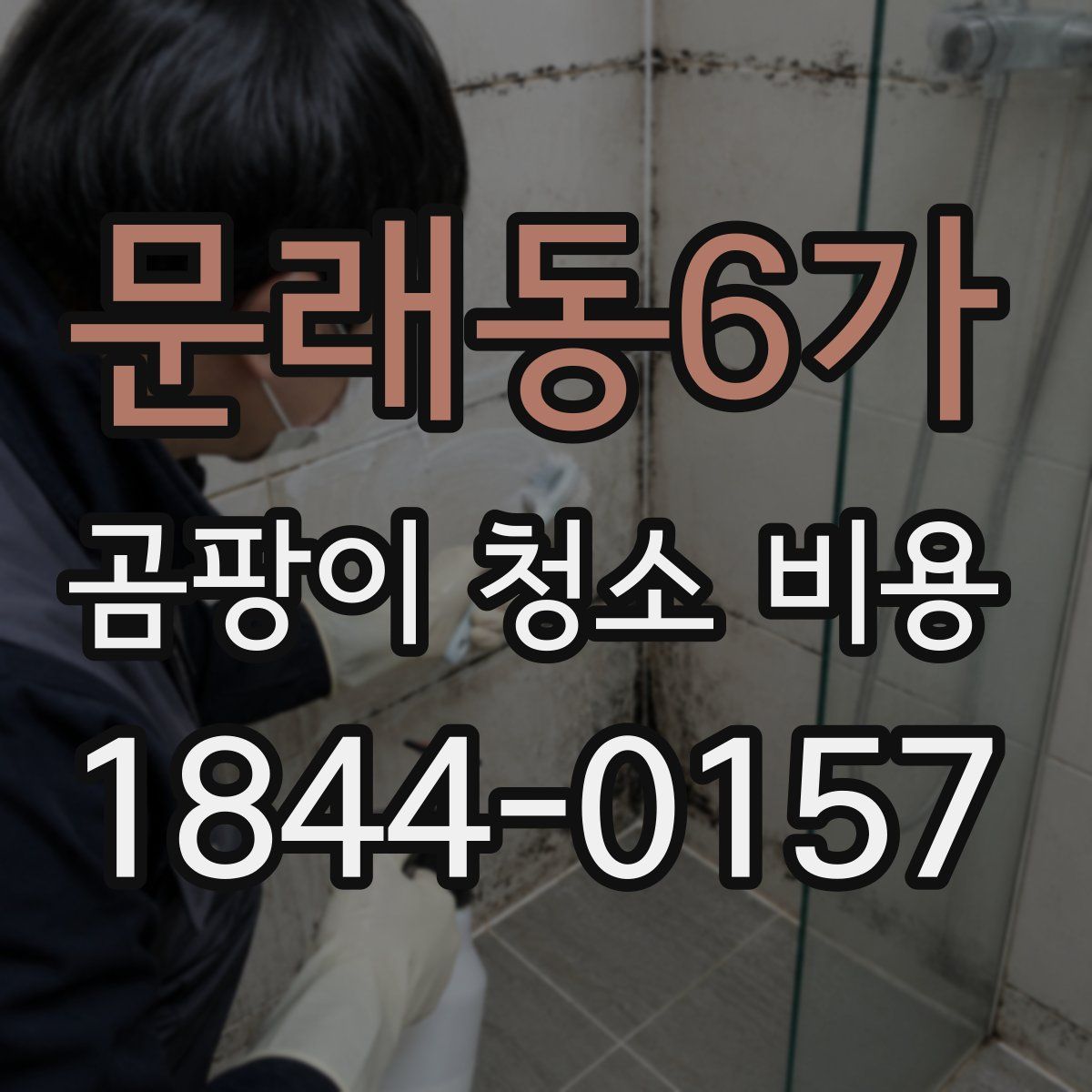 문래동6가 곰팡이 청소 비용