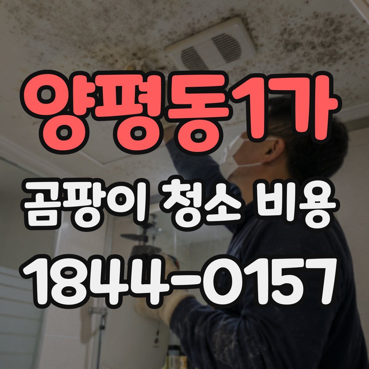 양평동1가 곰팡이 청소 비용