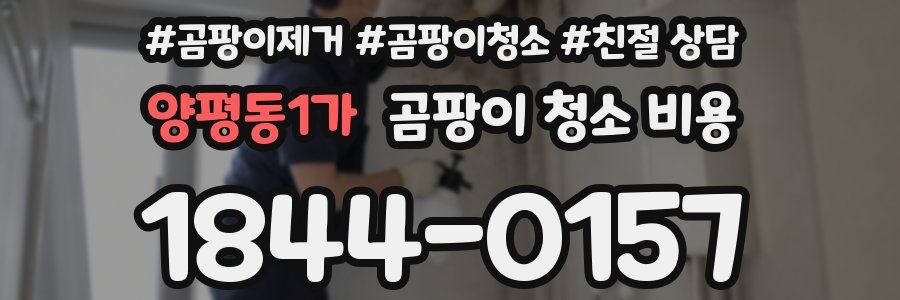양평동1가 곰팡이 청소 비용