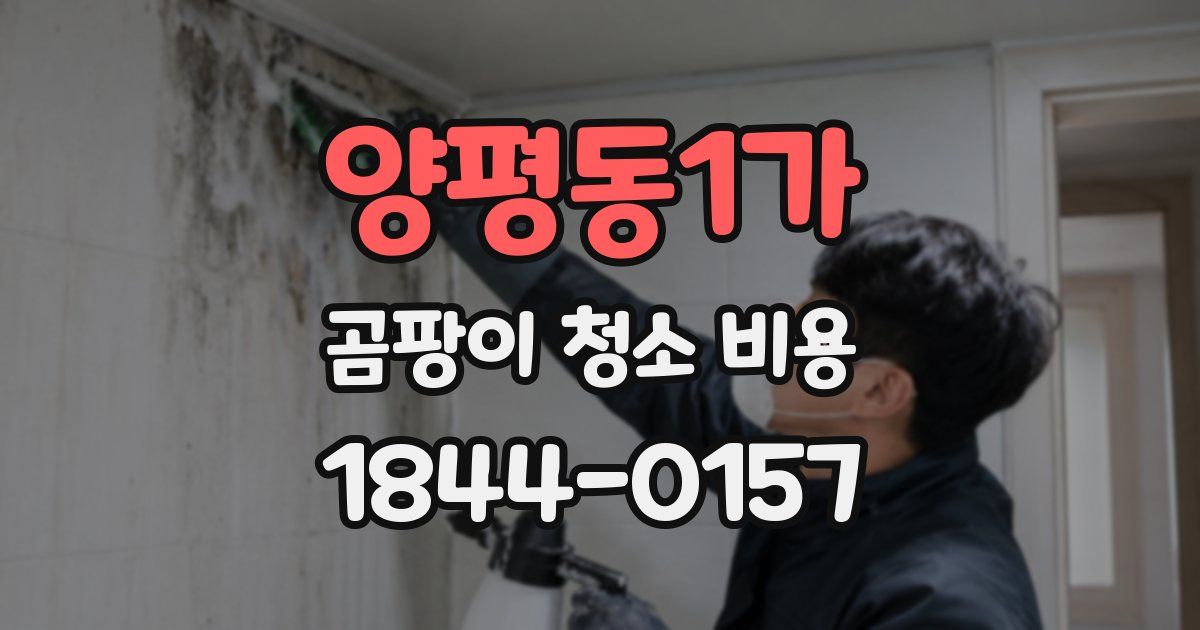 양평동1가 곰팡이 청소 비용