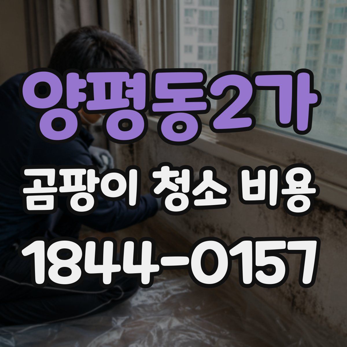 양평동2가 곰팡이 청소 비용