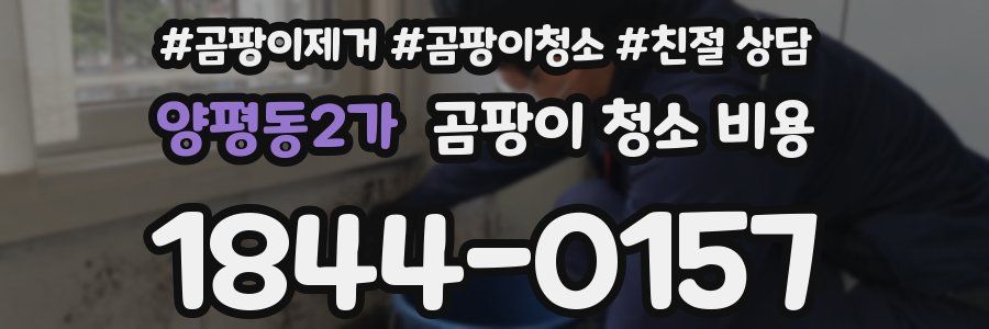 양평동2가 곰팡이 청소 비용
