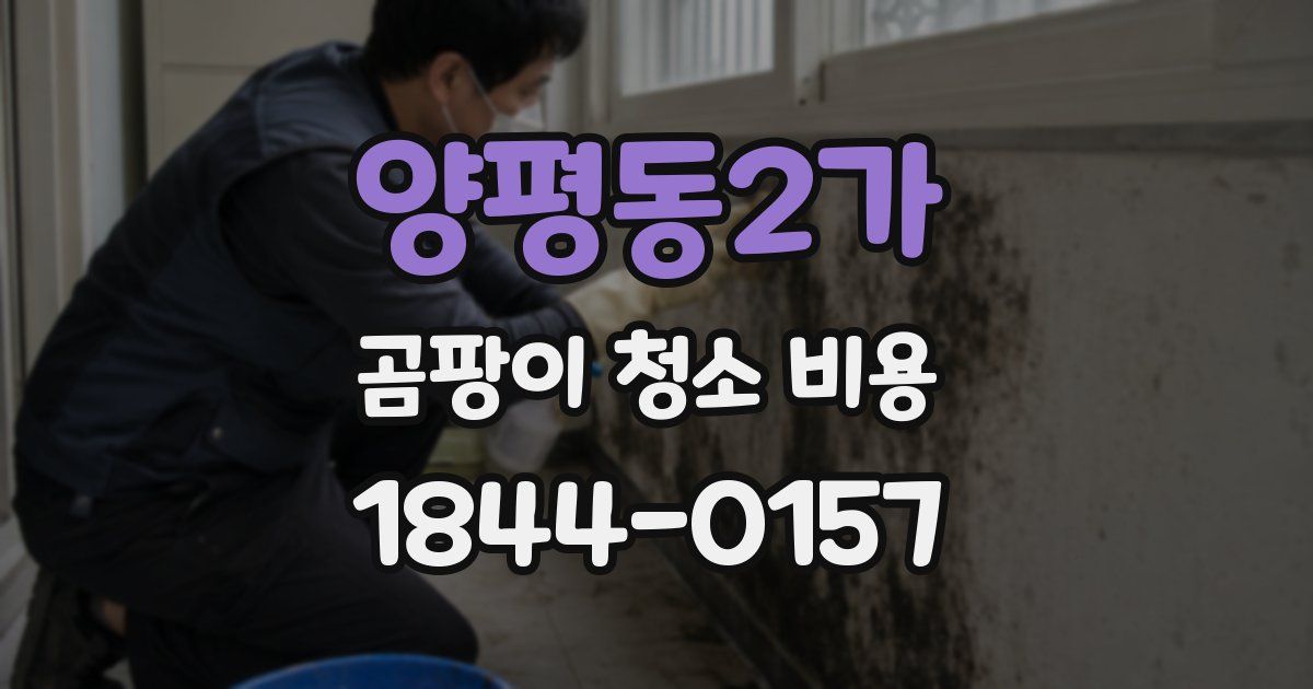 양평동2가 곰팡이 청소 비용
