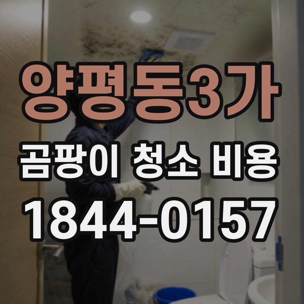 양평동3가 곰팡이 청소 비용