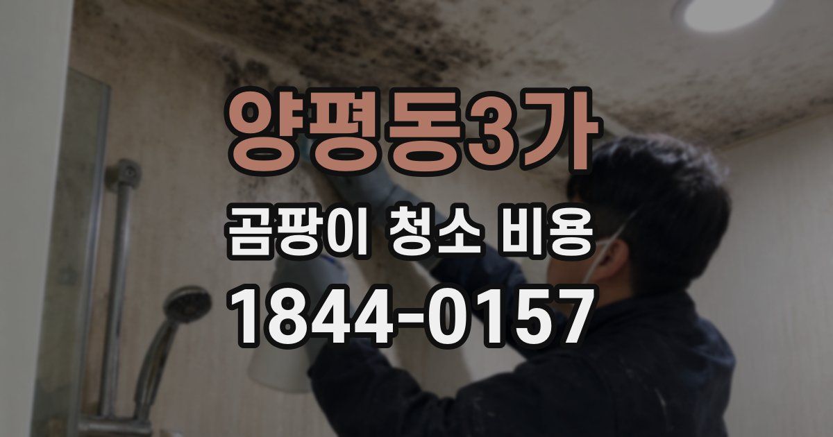 양평동3가 곰팡이 청소 비용