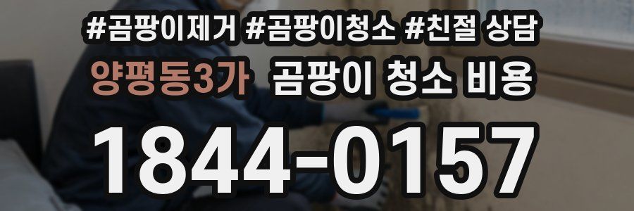 양평동3가 곰팡이 청소 비용