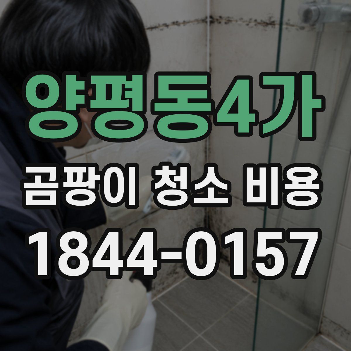 양평동4가 곰팡이 청소 비용