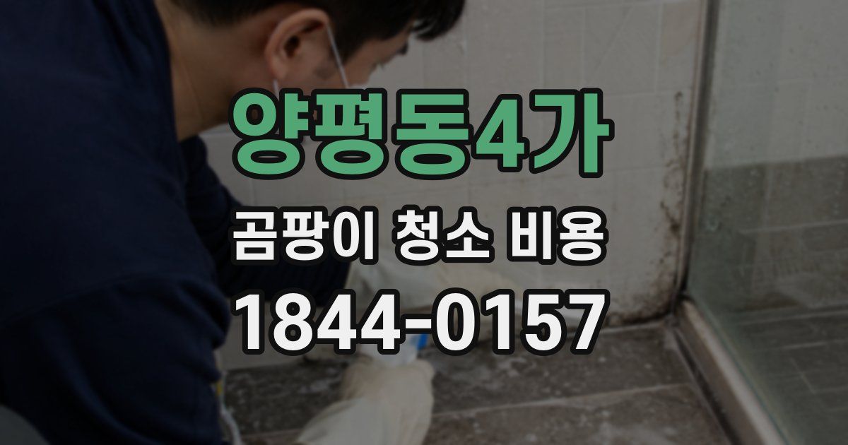 양평동4가 곰팡이 청소 비용