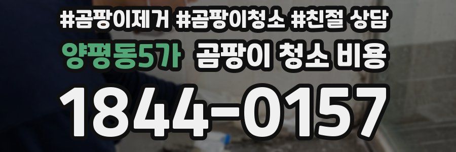 양평동5가 곰팡이 청소 비용